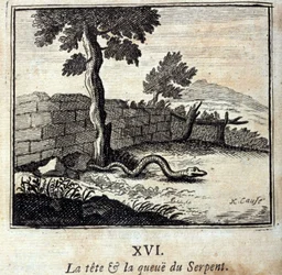 La tête et la queue du serpent. Fables de Jean de La Fontaine (1621-95). Illustration de François Chauveau (1613-1676). Édition de 1728.