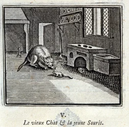 Le vieux chat et la jeune souris