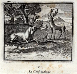 Le cerf malade