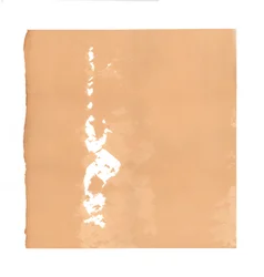 Derviche tourneur, 2015