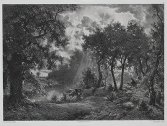 Après la pluie