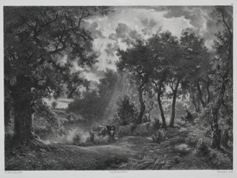 Après la pluie