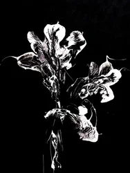 Fleurs sombres et fluides