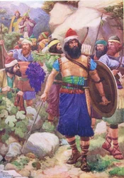 Les éclaireurs voyant la Terre Promise, de The Bible Picture Book publié par Thomas Nelson, vers 1950