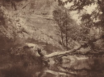 Rive de la rivière