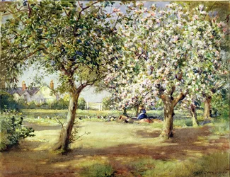 Jours de floraison