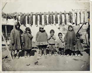 Sous la rangée de saumons