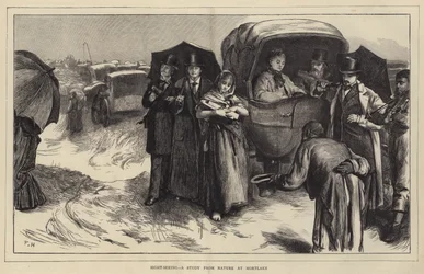 Tourisme, une étude de la nature à Mortlake