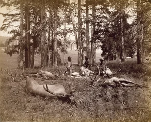 Chasseurs d