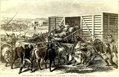 Chute de bétail à Abilene, Kansas, vers 1871