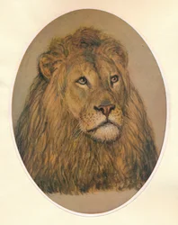 Tête de lion, vers 1896