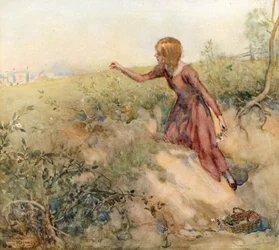 Petite Nell