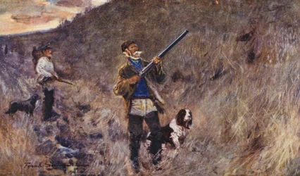 Vie sauvage en East Anglia : Par la digue à l