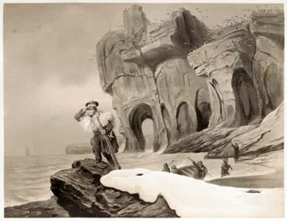 Île de l