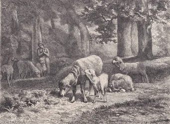 Les Moutons, du Magasin Pittoresque