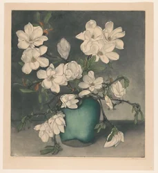 Branches de magnolia