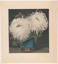 Deux chrysanthèmes