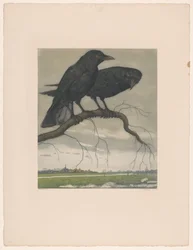 Deux corbeaux