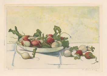 Radis blancs et rouges dans un plat
