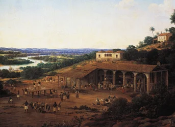 Moulins à sucre au Brésil