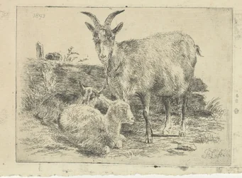 Chèvre avec ses petits