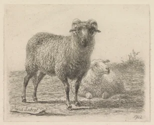 Bélier et mouton