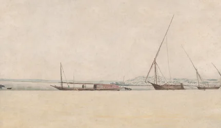 Paysage côtier tropical