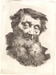 Vieil homme avec barbe grise divisée