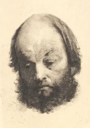 Homme à la barbe noire, Garibaldi