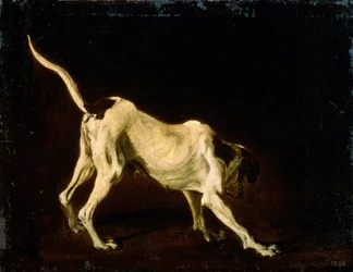 Un chien, XVIIe siècle