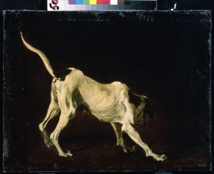 Chien