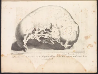 Crâne de Saint Rombout, 1825