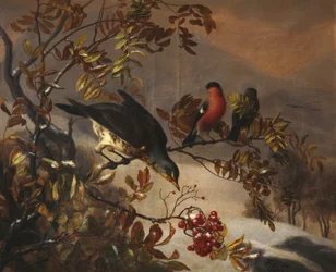 Oiseaux sur une branche de sorbier