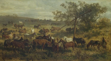 Chevaux à une auge