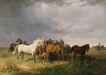 Chevaux dans la Puszta