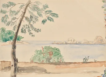 Côte en Floride (?)