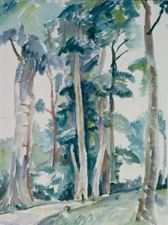 Scène forestière