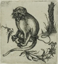 Un singe enchaîné