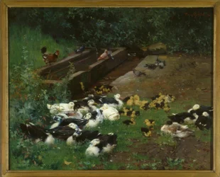 Familles de canards