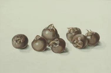 Nèfles