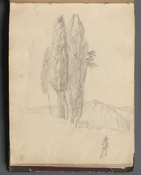 Album avec des vues de Rome et des environs, études de paysages, page 20a : Arbres
