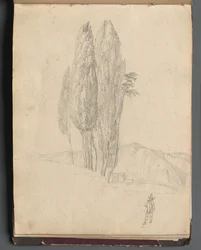 Album avec des vues de Rome et des environs, études de paysage, page 20a : Arbres