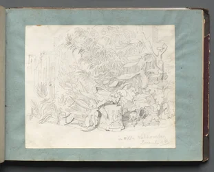 Album avec des vues de Rome et des environs, études de paysage, page 24a : "Dans la villa Walkonsky"