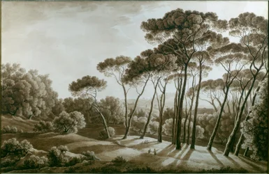 Les pins de la Villa Doria Pamphili