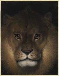 Tête de lion