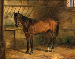 Cheval dans l