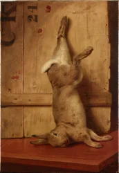 Lapin mort