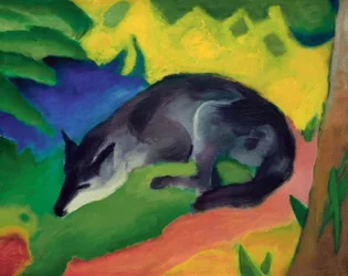 Renard (renard bleu-noir)