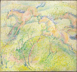 Chevaux sautant