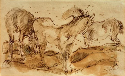 Chevaux au pâturage